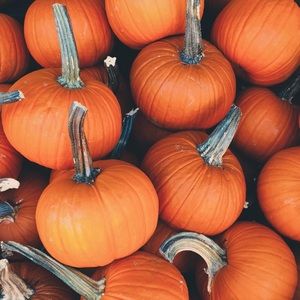 Meet your Posher, Elle